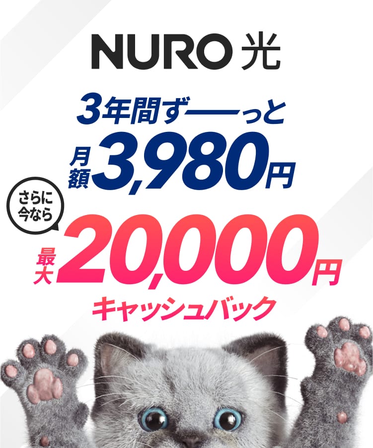 NURO 光　戸建てプラン　3年間ずーっと月額3,980円