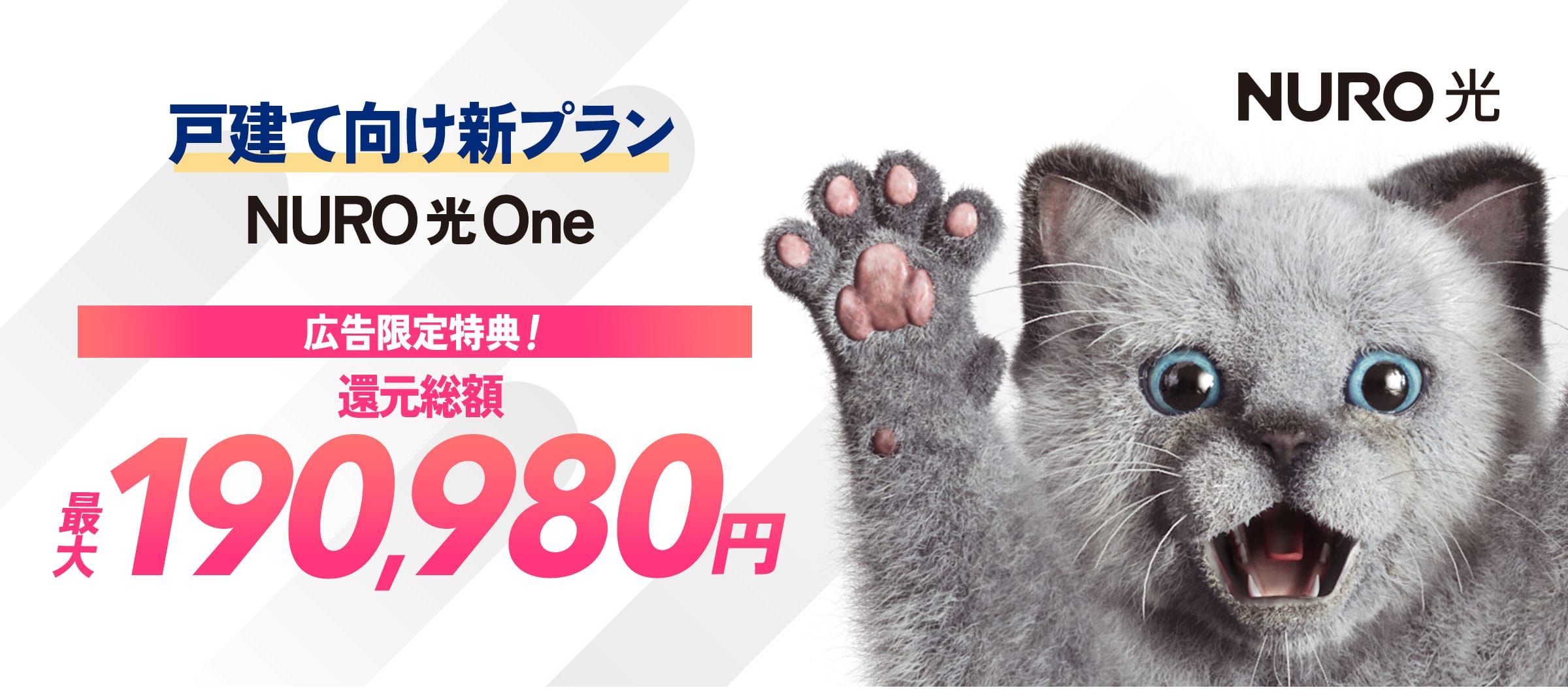 インターネットはNURO光