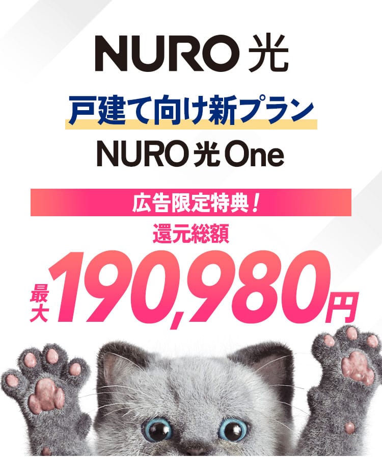 インターネットはNURO光