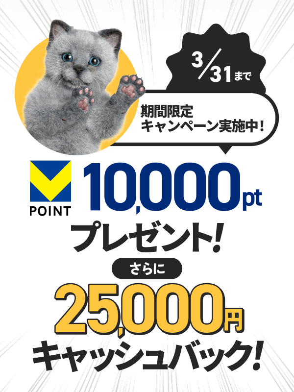 Vポイント10,000ポイントプレゼント！さらに25,000円キャッシュバック！