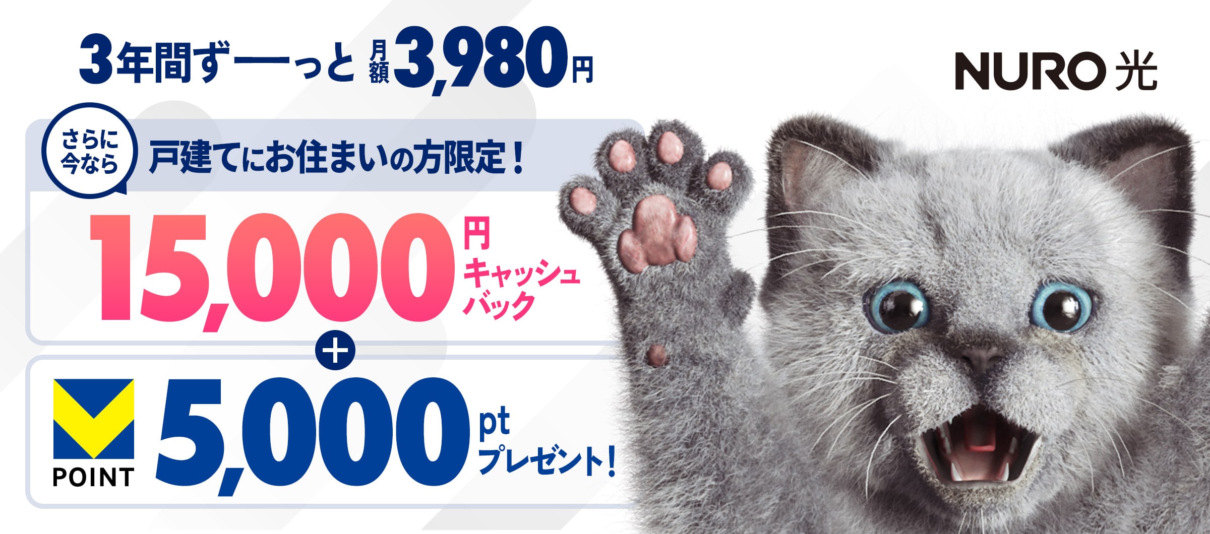 インターネットはNURO光