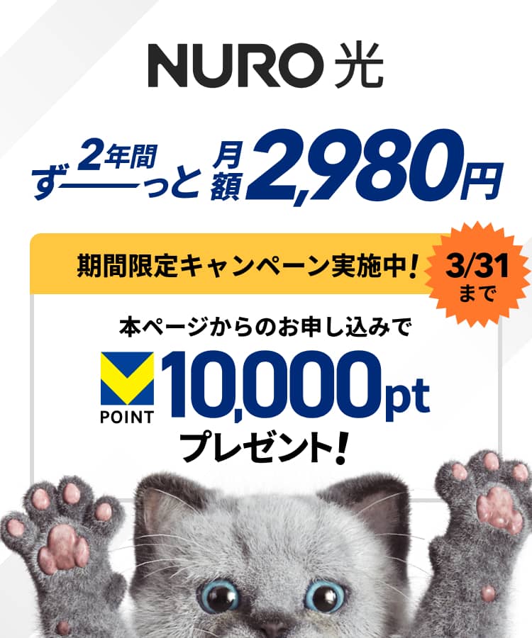 2年間ずーっと月額2,980円から　期間限定キャンペーン実施中！本ページからのお申し込みでVポイント10,000ポイントプレゼント！3/31まで