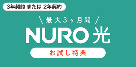 今すぐワンコインで