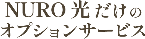 NURO 光 だけの オプションサービス