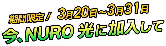 公式】NURO 光 × ロックマンエグゼ コラボキャンペーン | NURO 光
