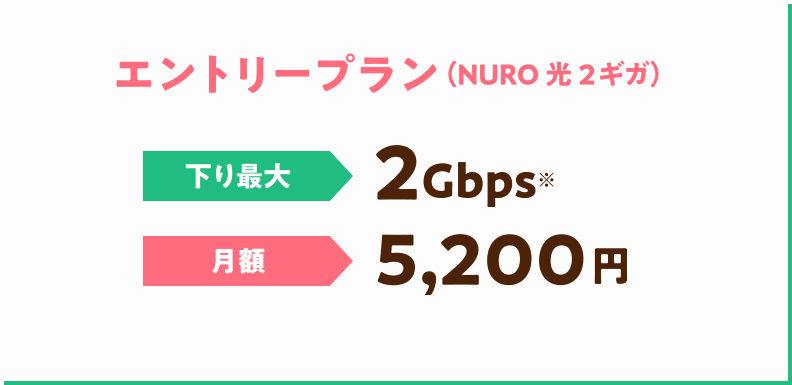 エントリープラン(NURO 光 2ギガ) 下り最大 2Gbps 月額 5,200円