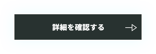 詳細を確認する