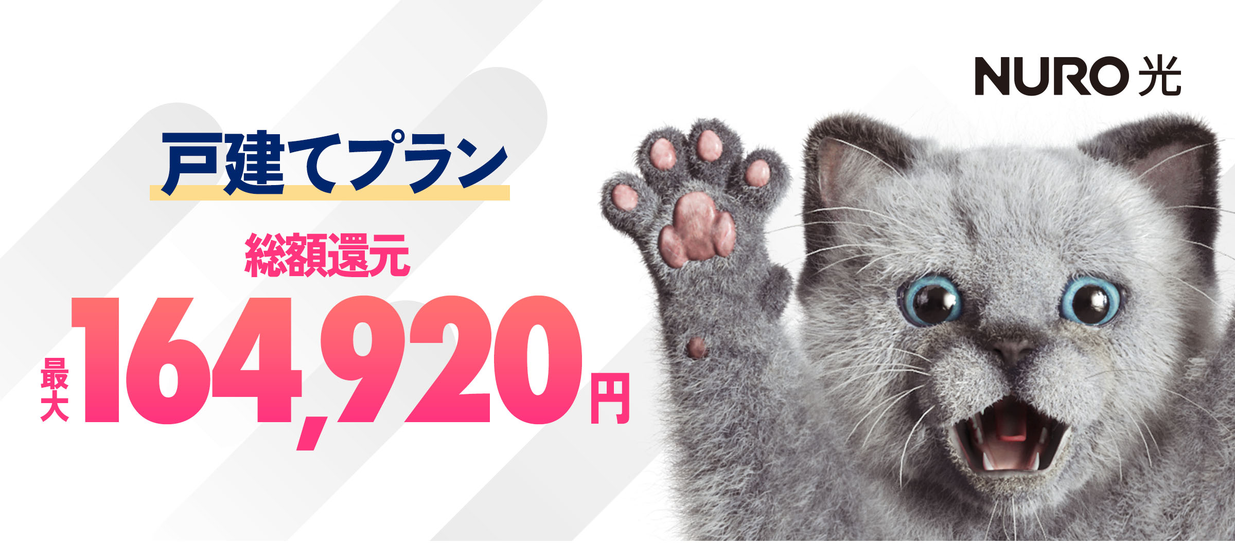 インターネットはNURO光