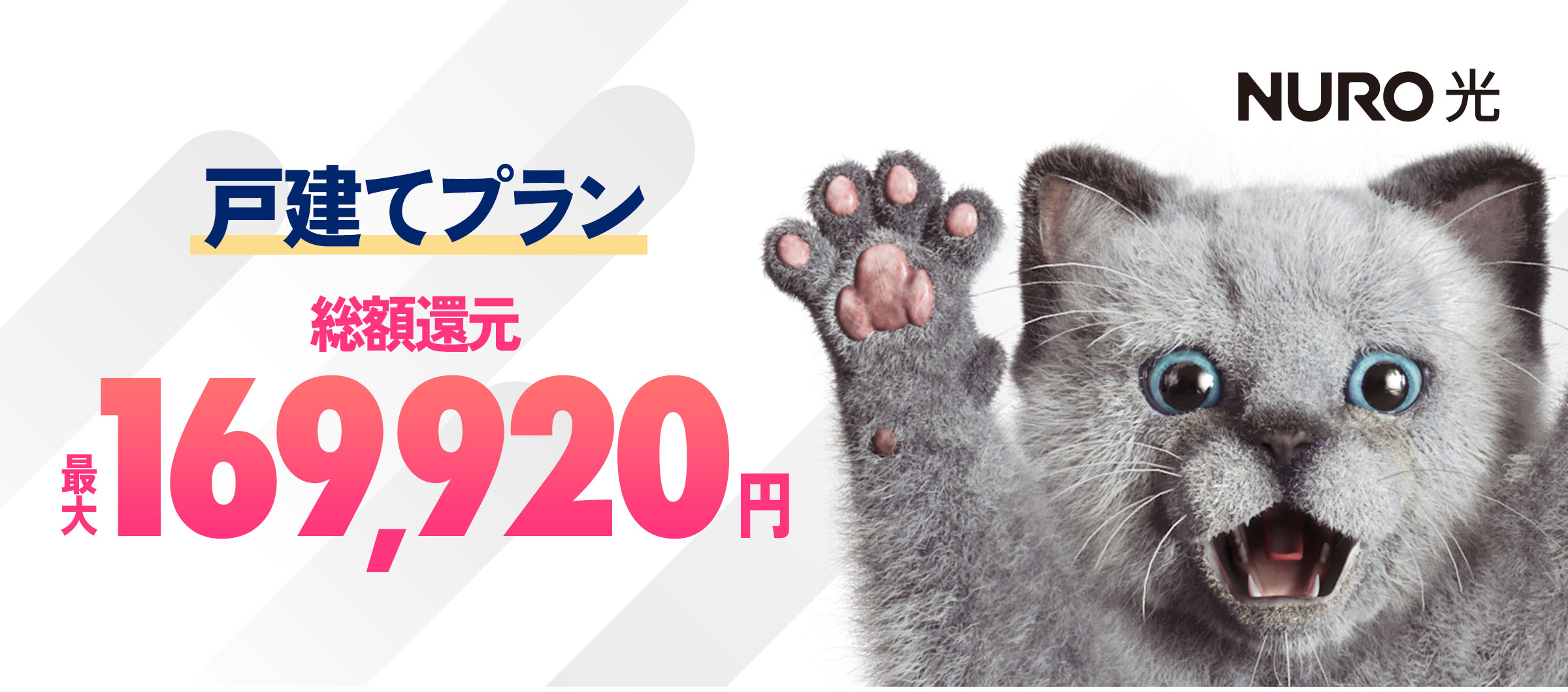 インターネットはNURO光