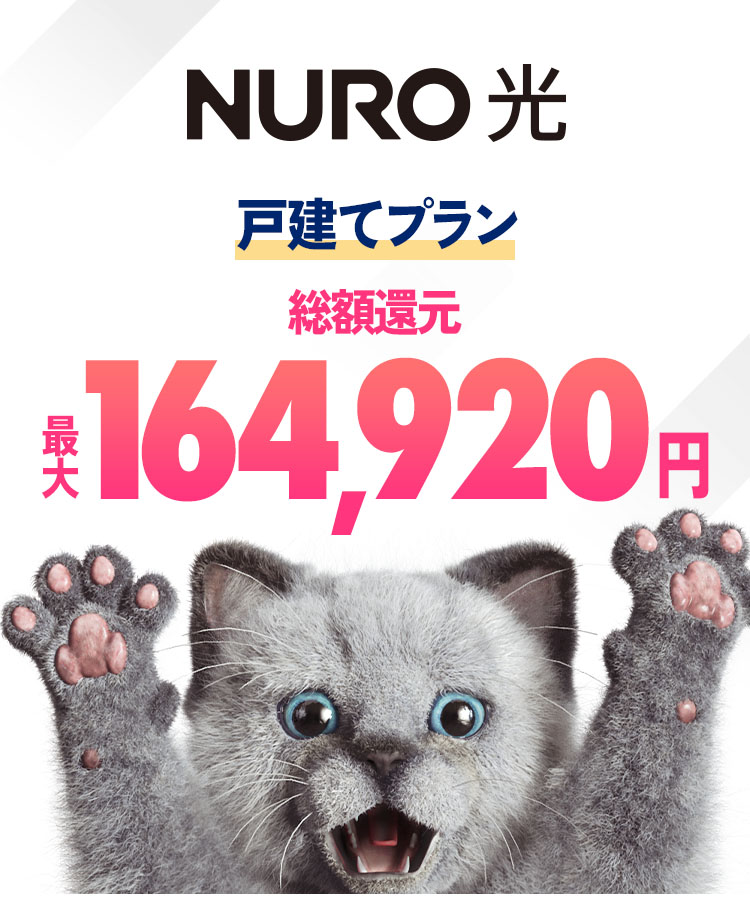 インターネットはNURO光