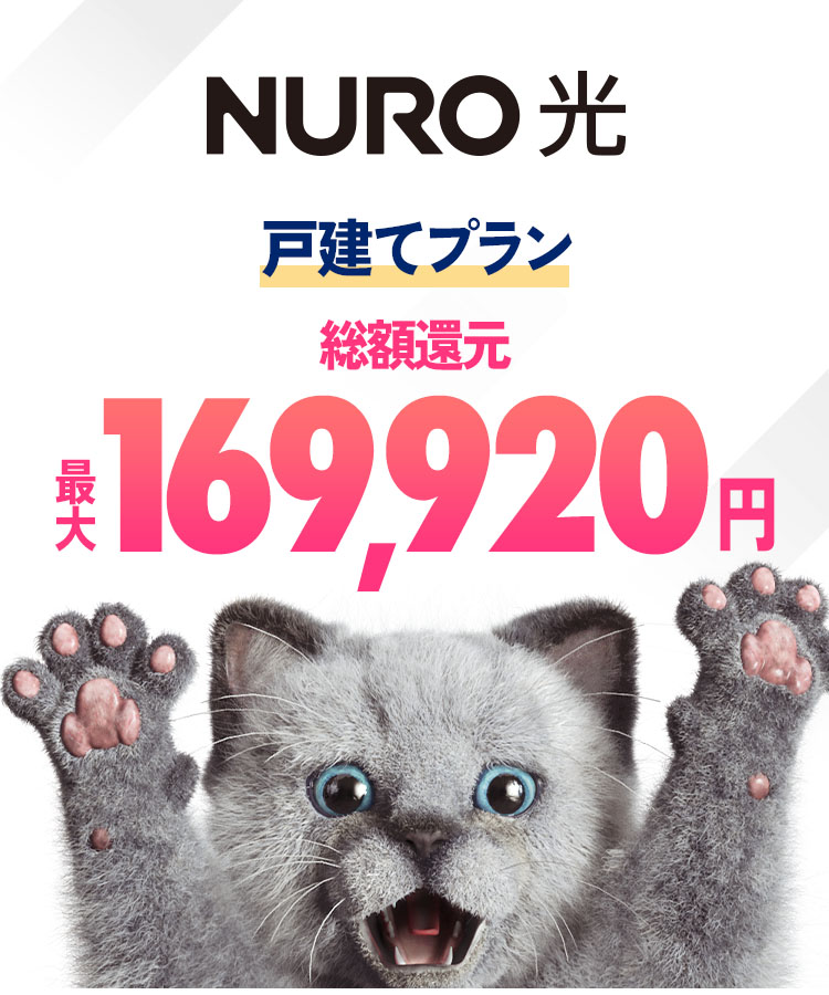 インターネットはNURO光