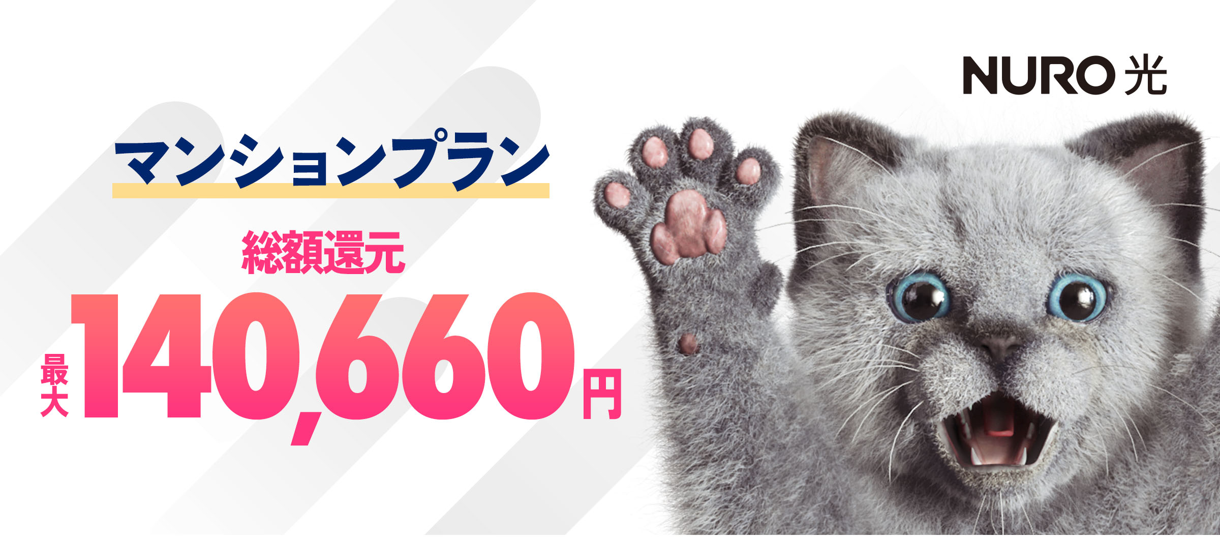 インターネットはNURO光