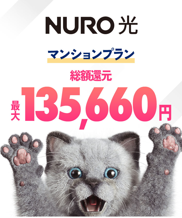 インターネットはNURO光