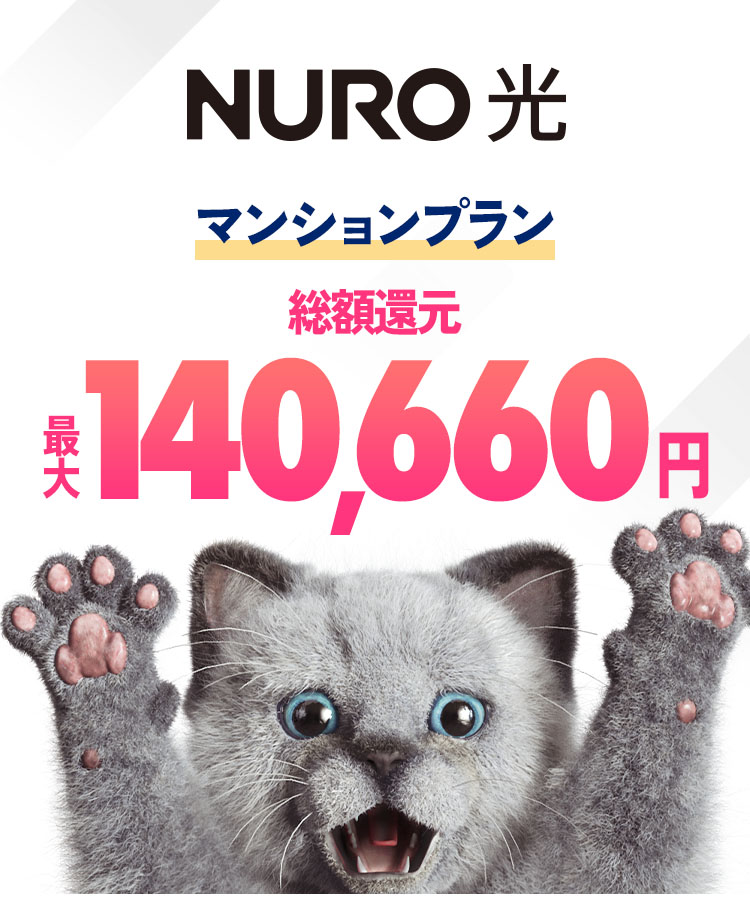 インターネットはNURO光