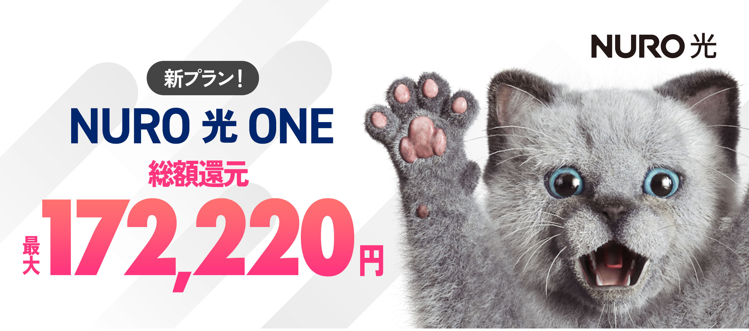 インターネットはNURO光