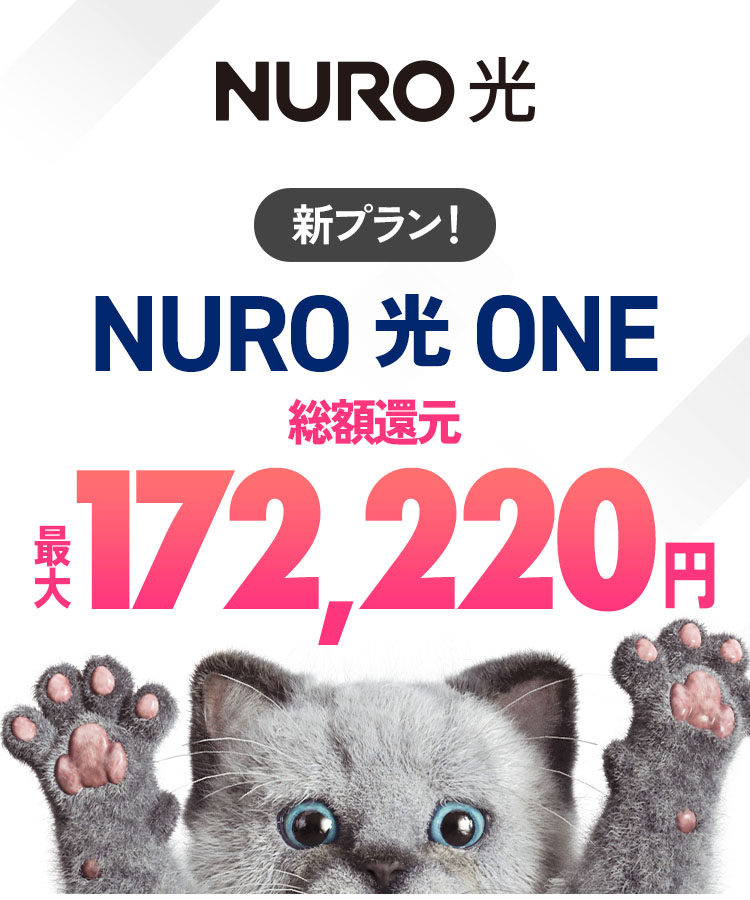 インターネットはNURO光