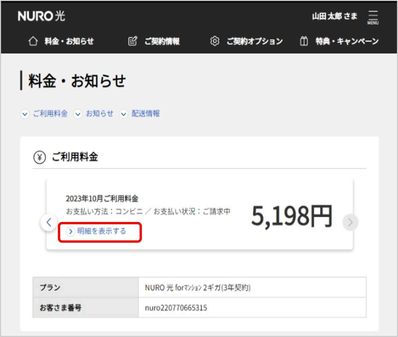 マイページ「ご利用料金＞明細を表示する」をクリック