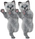 写真:並んで踊る猫