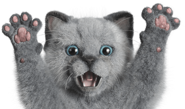 Nuro 光の猫 ニャーロ はなにもの Nuro 光