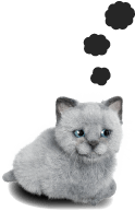 イラスト:猫
