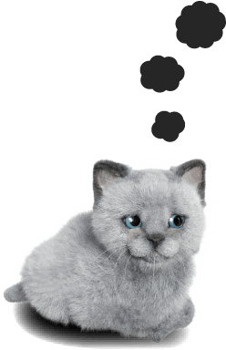 Nuro 光の猫 ニャーロ はなにもの Nuro 光
