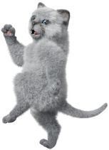 イラスト:片足を上げてこちらを見る猫