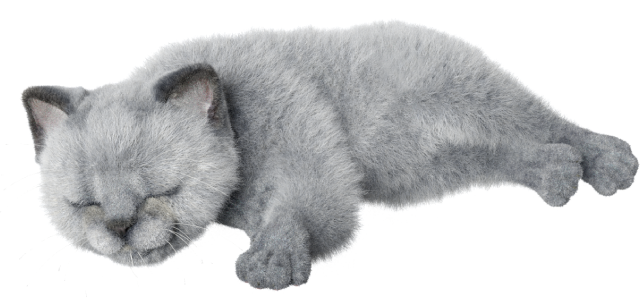 Nuro 光の猫 ニャーロ はなにもの Nuro 光