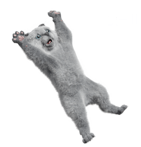 Nuro 光の猫 ニャーロ はなにもの Nuro 光