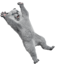 イラスト:バンザイする猫