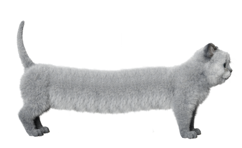 イラスト:体が伸びる猫
