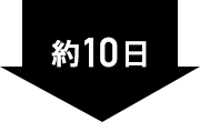 約10日