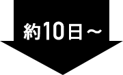 約10日~