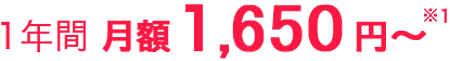 1年間 月額1,650円 ※1